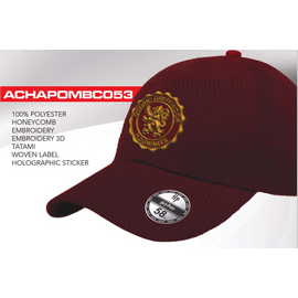 HARRY POTTER - Gryffindor - Baseball Cap "Honey Comb"
