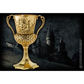 HARRY POTTER - The Hufflepuff Cup