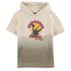 JURASSIC PARK - Boy's Short Sleeved Hoodie (134/140)