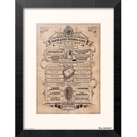 HARRY POTTER - Hogwarts School List - Collector Print '30x40cm'