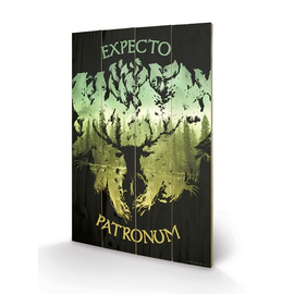 HARRY POTTER - Impression sur Bois 40X59 - Expecto Patronum