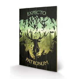 HARRY POTTER - Impression sur Bois 40X59 - Expecto Patronum