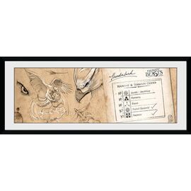 FANTASTIC BEASTS - Collector Print 30X75 - Thunderbird