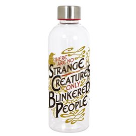FANTASTIC BEASTS - Plastic Bottle - Size 850ml - Multicolor