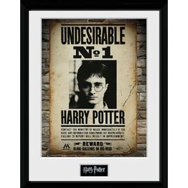 HARRY POTTER - Collector Print 30X40 - Undesirable No1