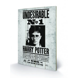 HARRY POTTER - Printing on wood 40X59 - Undesirable N° 1