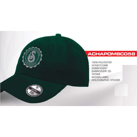 HARRY POTTER - Slytherin - Baseball Cap "Honey Comb"