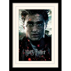 HARRY POTTER - Mounted & Framed 30X40 Print - Deathly Hallows Part2