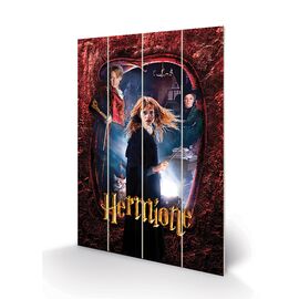 HARRY POTTER - Wood Print 40x59cm - Hermione