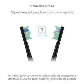 TrueLife SonicBrush Clean30 Black Adult Oscillating toothbrush