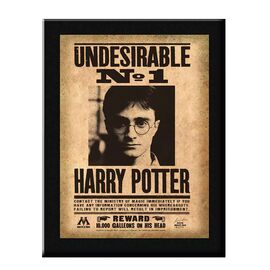 HARRY POTTER - Indesirable N°1 Wall Plaque