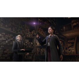 Hogwarts Legacy / PlayStation 5