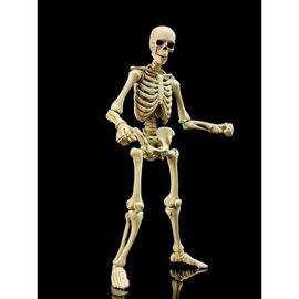 Epic &nbsp;H.A.C.K.S. Action Figure 1/12 Skeleton Blank Classic Bone