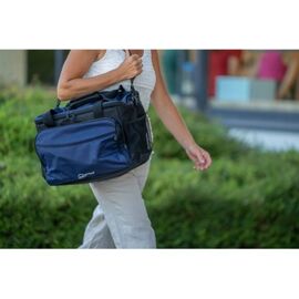 Cartrend 30-litre cool bag