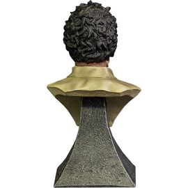 Texas Chainsaw Massacre Mini Bust Leatherface 15 cm