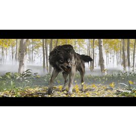 Ghost of Yotei (UK/AR) / PlayStation 5