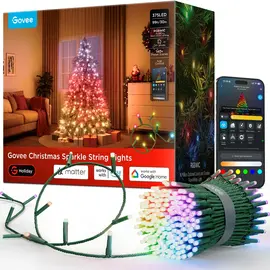 Govee Christmas String Lights - 30M (Bullet Leds) /