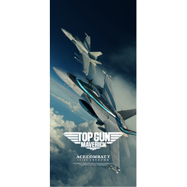 Ace Combat 7: Skies Unknown (Top Gun: Maverick Edition) / Xbox One - Xbox One - Xbox One - Games - Namco Bandai - Action - Ma...
