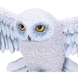 Harry Potter Hedwig Wall Plaque 45cm / Fan Shop and Merchandise |  Techbox