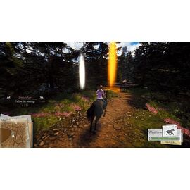Windstorm: Start of a Great Friendship / PlayStation 4 | Techbox
