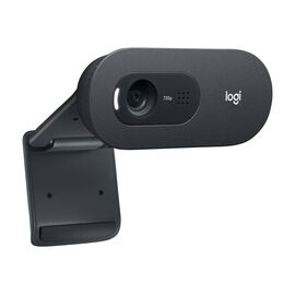 Logitech - C505e HD Webcam, brownbox / Computers | Techbox