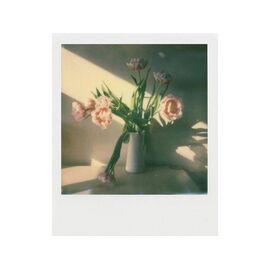 Polaroid Originals - Color i-Type Film (2-Pack) / Electronics