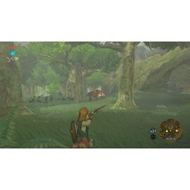 The Legend of Zelda: Breath of the Wild / Wii U | Techbox