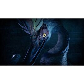 Monster Hunter Rise / Nintendo Switch - Nintendo Switch Games - Games - Techbox