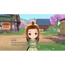 Story of Seasons: A Wonderful Life / Nintendo Switch - Nintendo Switch Games - Games - Techbox