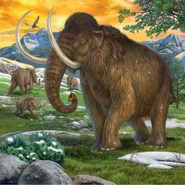 Ravensburger - Primeval Ruler 3x49p - 09358 / Toys - Αταξινόμητα -  - Techbox