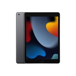 Apple - iPad 10.2 Wi-Fi 9. gen. 256 GB - Space Grey / iPadOS | Techbox