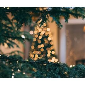 Hombli - Smart Christmas Lights / Electronics - Αταξινόμητα -  - Techbox