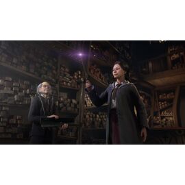 Hogwarts Legacy / PlayStation 4 | Techbox