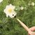 Pollination Wand / Gadgets - Αταξινόμητα -  - Techbox