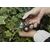 Garden Shears (CD526) / Gadgets