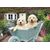 Ravensburger - Golden Retriever 200p Ad - (12001368) / Toys |  Techbox