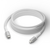 Dbramante1928 - Re-charge - BRD Cable - USB-C to Lightning, 2m - White / Electronics