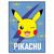 Pokemon Pikachu polar blanket - FASHION AND ACCESSORIES|BLANKETS