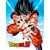 Dragon Ball Z Goku Kame glass poster - Home Decoration - Gifts - Techbox