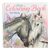 Miss Melody - Special Malebog ( 0412469 ) / Toys