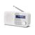 Sharp - Tokyo Portable Digital and FM Radio / Electronics