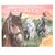 Trend - Create Your Happy Horses Colouring Book (413586) / Toys