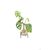 Winkee - Hydro Vase Flora / Gadgets