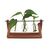 Winkee - Hydro Vases Blossom - Vase / Gadgets