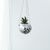 Winkee - Planter - Disco hanging planter - 10 cm / Gadgets