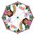 Dora the Explorer POE manual umbrella |  Techbox