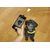 Dog Treat Selfie Clip (DIG01) / Gadgets