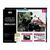 Zieler - Paint By Numbers - Panda (609299438) / Toys