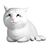 Meme: Crying Cat 3 inch Figure |  Techbox