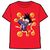 Dragon Ball Goku Balls adult t-shirt